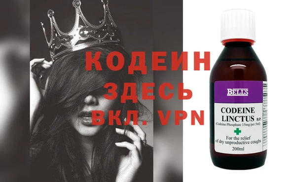 прущие грибы Магадан