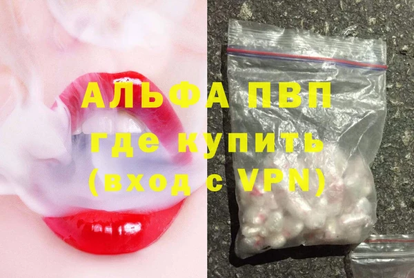 прущие грибы Магадан