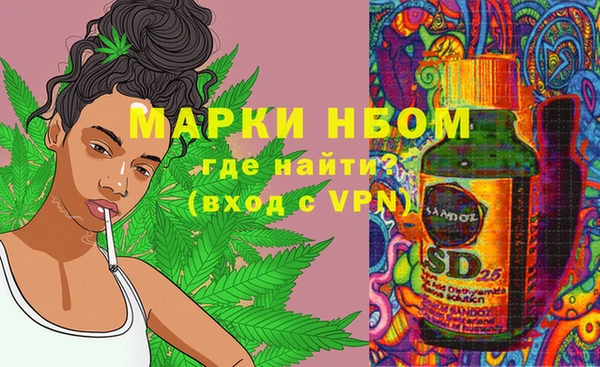 прущие грибы Магадан